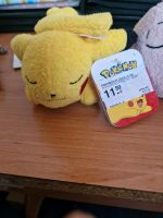 Pokemon Schlafende plüschis 12 cm Nordrhein-Westfalen - Meschede Vorschau