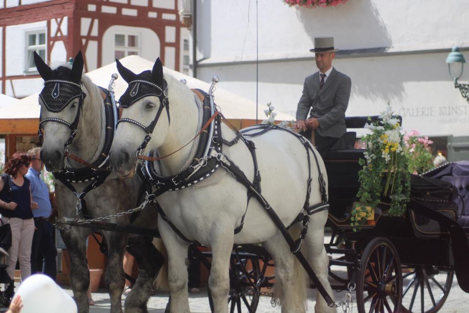 Kutschfahrten Hochzeitskutsche in Nördlingen