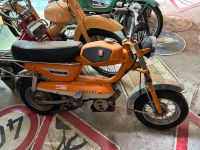 Peugeot GT10 Mofa Moped   Nur Anrufen Nordrhein-Westfalen - Zülpich Vorschau