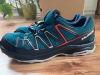 Trekking Schuhe Salomon GTX Custer Gr. 48 UK 12,5  fällt kleiner Sachsen - Görlitz Vorschau