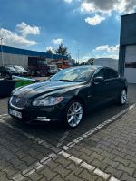 Jaguar XF X250  3.0 Diesel Duisburg - Duisburg-Süd Vorschau