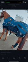 Verkaufe Berner Horse Set Frankfurt am Main - Bonames Vorschau