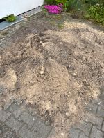 Füllsand Erde Boden Sand Nordrhein-Westfalen - Gütersloh Vorschau