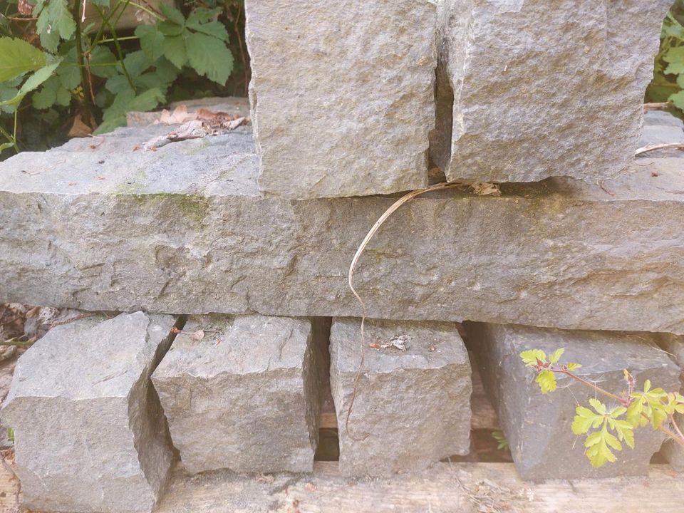 Beton-/ Basalt - Palisaden in Wolsdorf