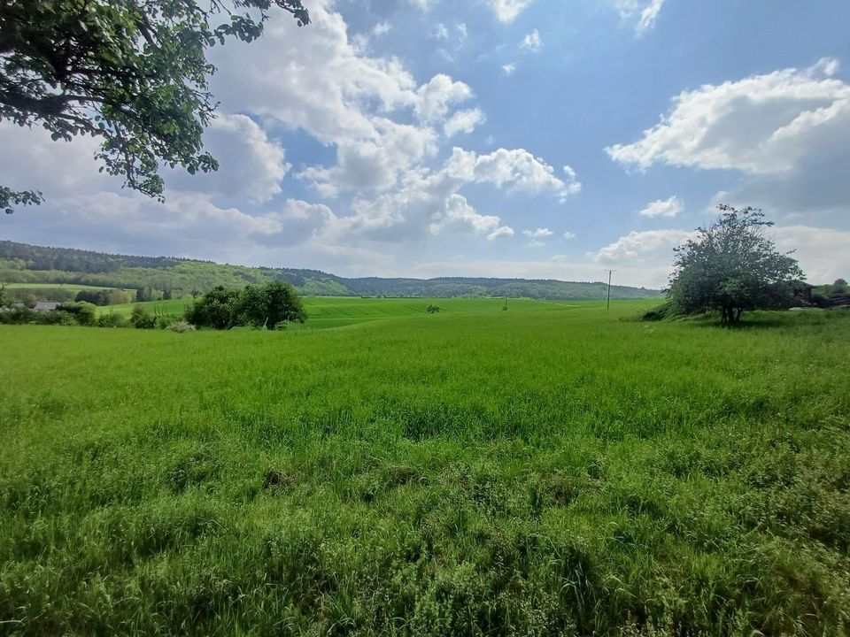 Baugrundstück in wunderschöner Natur und in Grenznähe in Nusbaum