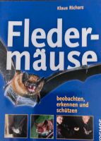 Fledermäuse Hessen - Hanau Vorschau