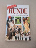 Hunde  Haltung Pflege Züchtung Niedersachsen - Sottrum Vorschau