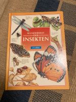 Wunderwelt der Insekten Frankfurt am Main - Bergen-Enkheim Vorschau