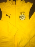 Sweatjacke/ Strickjacke, Borussia Dortmund Müritz - Landkreis - Röbel Vorschau