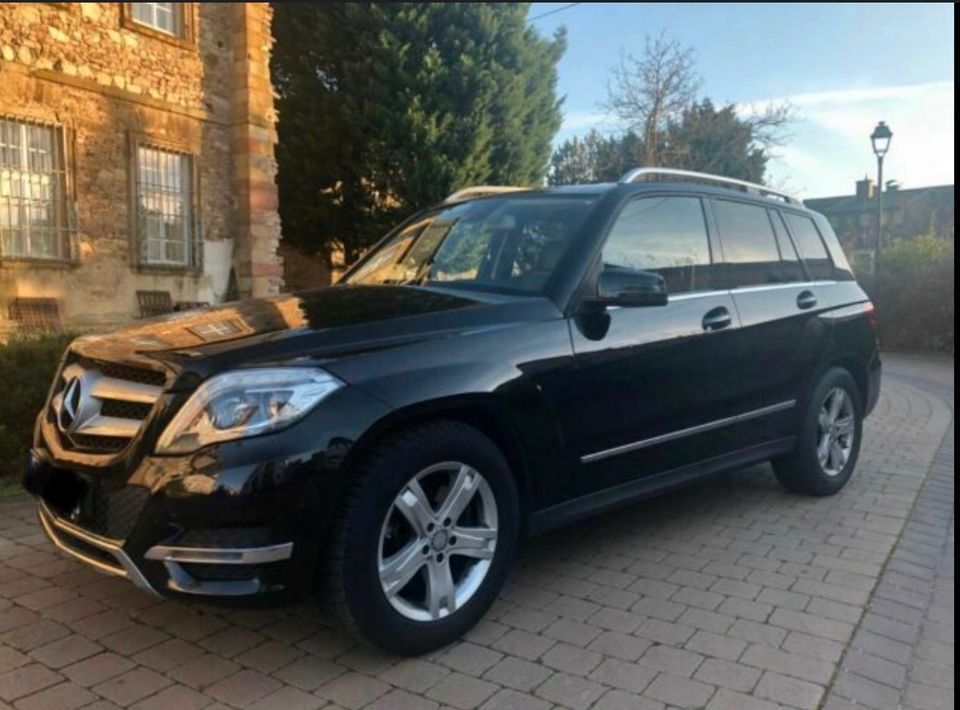 Glk 220 Harman Kardon AHK Leder Xenon in Melle