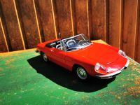 Alfa Romeo 2000 Spider Fastback 1970 Minichamps 1:18 Modellauto Baden-Württemberg - Hausen ob Verena Vorschau