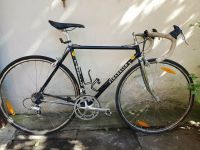 Rennrad Pinarello Asolo Bayern - Bamberg Vorschau