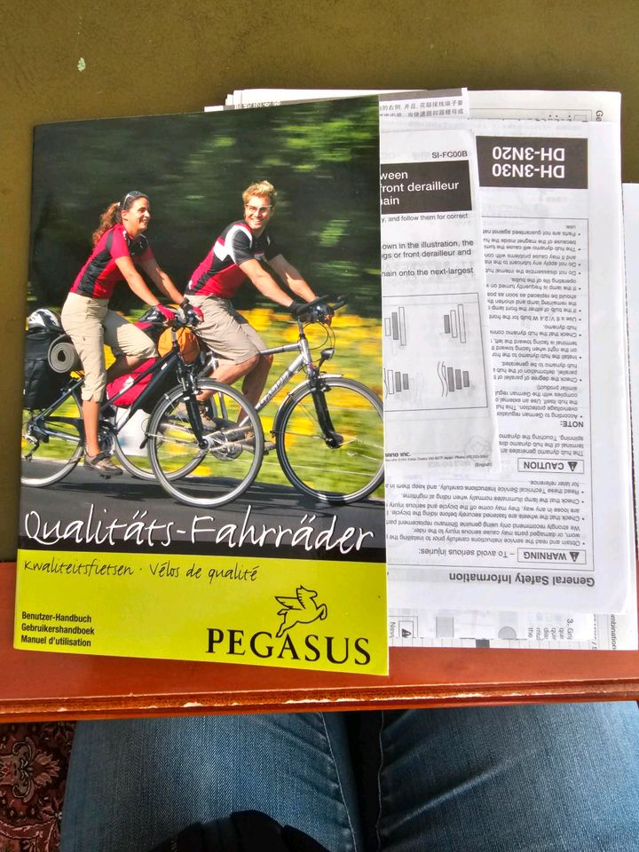 Pegasus Premio SL Trekking Bike in Neu-Isenburg