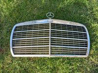 Mercedes Benz Kühlergrill Hansestadt Demmin - Neukalen Vorschau