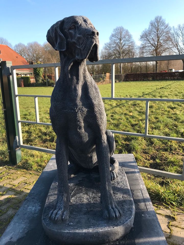 Dogge 106cm 200kg Steinguss deutsche Dogue dänische Dogo Hatzrüde in Magdeburg