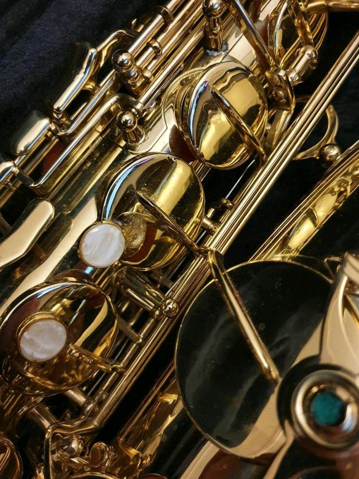 Altsaxophon  Arnolds und Sons Model AAS-100 Saxophon in Gelsenkirchen