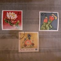 Briefmarken_Polen + Ungarn_vorw. Blumen/Blüten/Natur !!! Rostock - Kröpeliner-Tor-Vorstadt Vorschau