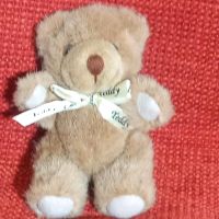 Handschmeichler - kleiner süßer Teddybär sucht neues Zuhause! Nordrhein-Westfalen - Bad Salzuflen Vorschau