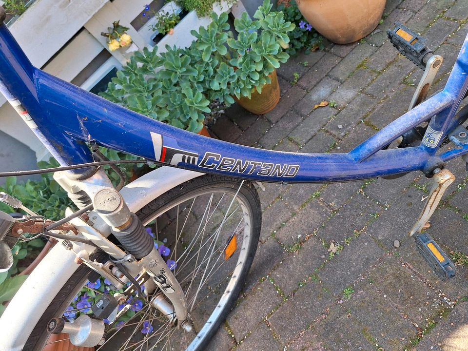 Damenfahrrad 28Zoll in Preetz