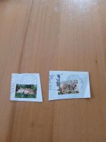 Briefmarken Deutschland Tierkinder Braunbrustigel und Wildschwein Baden-Württemberg - Sulzburg Vorschau