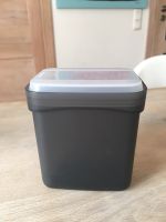 Tupperware kleine Swing Box Bayern - Kolbermoor Vorschau