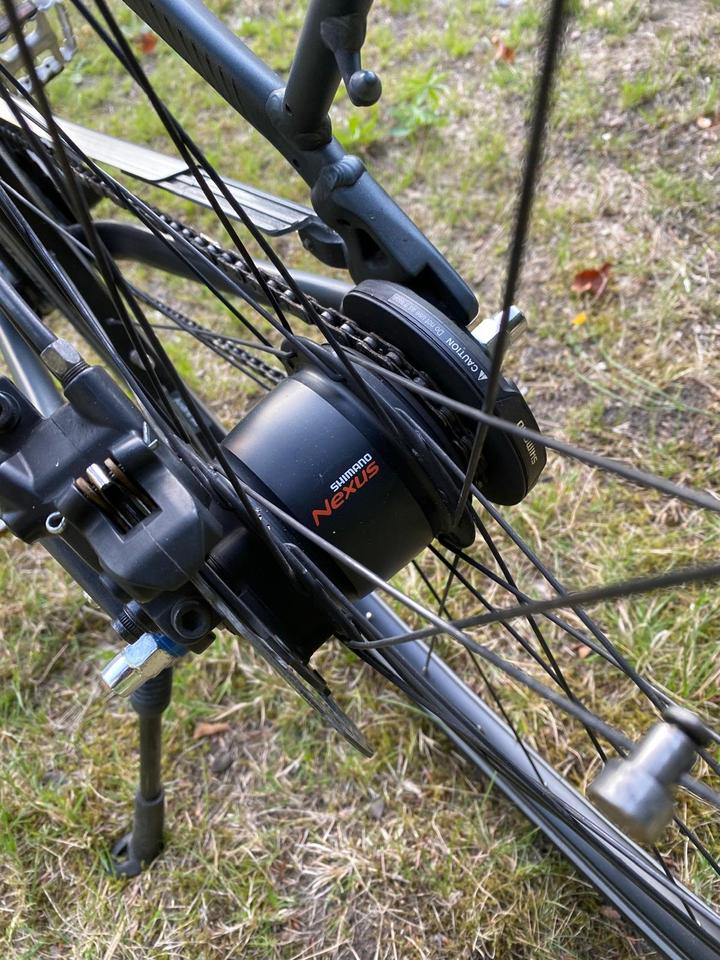 PEGASUS OPERO 50th Anniversary E-Bike Alurahmen 54cm Shimano in Hamburg