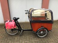 Babboe Big E-Bike Lasten Fahrrad Kinder Transporter Niedersachsen - Delmenhorst Vorschau
