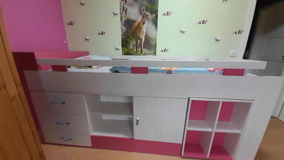 Kinderhochbett mit Schreibtisch und Fächern in Langwedel