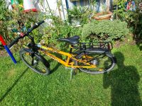 Puky Fahrrad 24 Zoll Hessen - Mühlheim am Main Vorschau