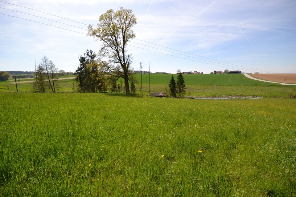 DENKMALSCHUTZ - STEUERN SPAREN FÖRDERUNGEN ERHALTEN - Traumhafter, denkmalprämierter Vierseithof in der Nähe von Vilshofen in Vilshofen an der Donau