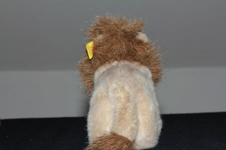 Steiff Löwe - KFS - 13 cm in Westoverledingen