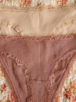 Slips mit Spitze Baumwolle 2er Set Gr.M 40/42 altrosa Esmara Neu Brandenburg - Beeskow Vorschau