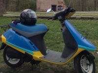 Honda Vision Af29 "Teile" Nordrhein-Westfalen - Kempen Vorschau