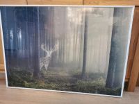 Bilderrahmen 100 x 71 mit Poster (Wald mit Hirsch IKEA) Schleswig-Holstein - Kaltenkirchen Vorschau