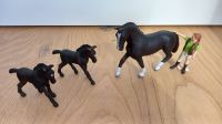 Schleich Pferd mit 2 Fohlen und Pflegerin im Set Nordrhein-Westfalen - Hennef (Sieg) Vorschau