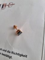 Unisex Ohrring Diamantohrstecker 585 Rosegold 1,04 karat schwarz Kr. Altötting - Kirchweidach Vorschau