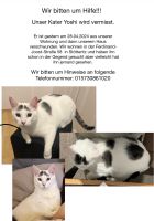 Kater in Stötteritz vermisst!!! Leipzig - Probstheida Vorschau