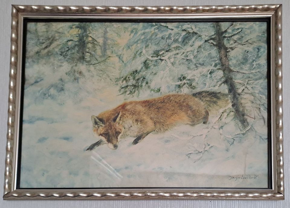 Bild, Kunstdruck: Fuchs im Winterwald in Hillerse