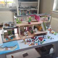 Playmobil Villa 5574 Niedersachsen - Bleckede Vorschau