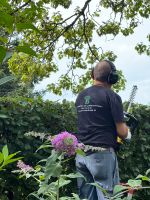 Garten und- Landschaftsbau Bobi / Gärtner Gartenpflege Eimsbüttel - Hamburg Stellingen Vorschau