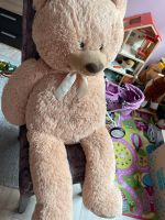 Riesen Teddy sucht neues Zuhause Hessen - Eschwege Vorschau