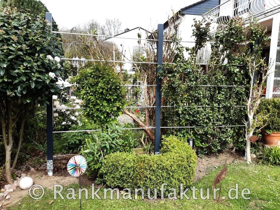 ☘️RANKMANUFAKTUR Design Rankhilfe Rankgerüst Kletterhilfe Rankgitter Spalier Rosenbogen Metall Holz Sichtschutz Garten Terasse Spalierobst Weinrebe Himbeeren Balkon Sichtschutzzaun Hochbeet Pergola ☘️ in Röthenbach