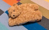 Teddybär gefunden 1. Mai Beiertheimer Wäldchen Karlsruhe Baden-Württemberg - Karlsruhe Vorschau