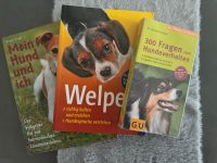 Hundebücher Training Welpen Hessen - Hanau Vorschau