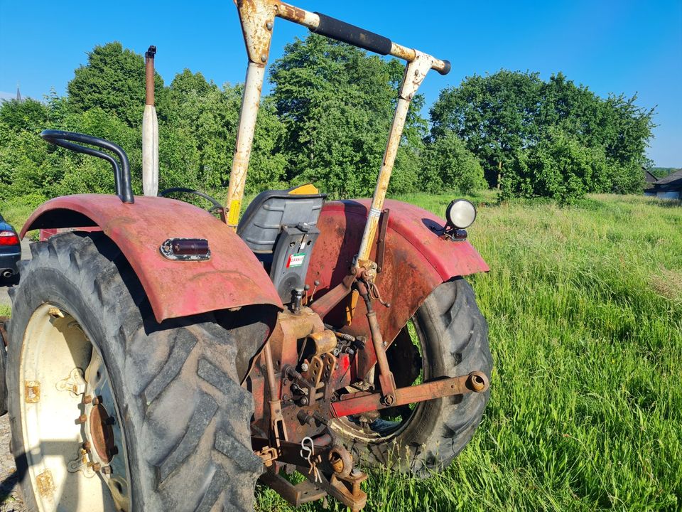 McCormick IHC 523 Traktor in Menden