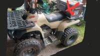 Motortek 175 Quad mit Tüv MZ Tausch Simson Herkules Jawa Trabant Sachsen - Leisnig Vorschau