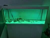 Juwel Aquarium 450 Liter Bayern - Waldkraiburg Vorschau