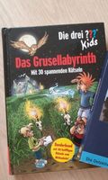 ??? Kids Das Grusellabyrinth drei Fragezeichen Baden-Württemberg - Schwäbisch Gmünd Vorschau