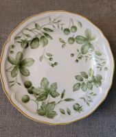 VILLEROY & BOCH PARKLAND GREEN Frühstücksteller Set 8tlg. München - Schwabing-Freimann Vorschau