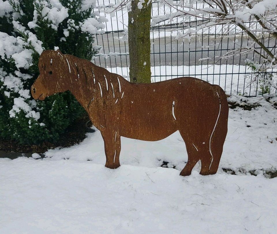 Pony/ Pferd/ Rost/ Garten/ Deko/ Horse/ Wandbild/ Stall in Mötzing